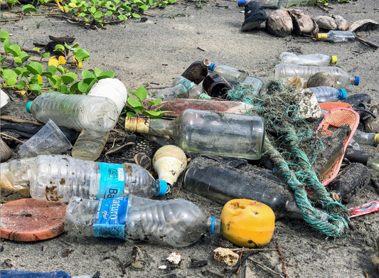 Le droit de l'environnement : que faut-il retenir pour le Grand Oral du CRFPA ?