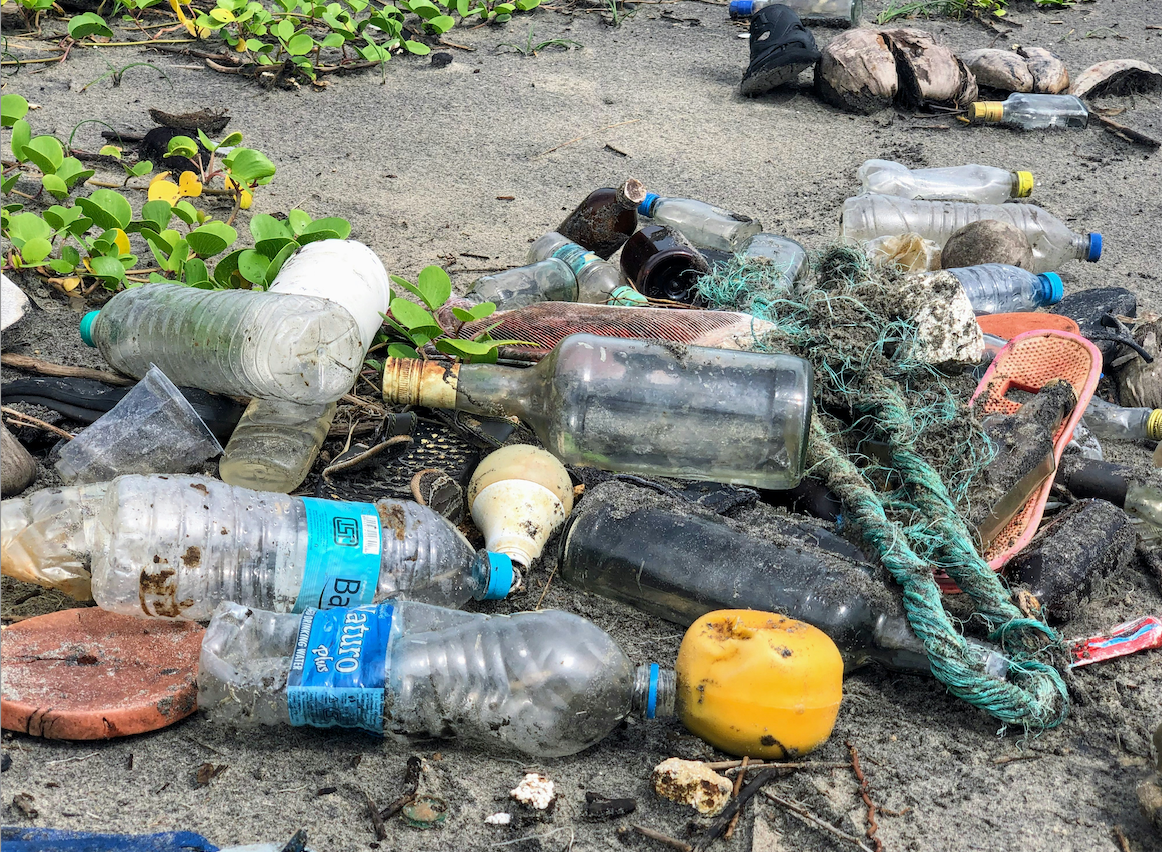 Le droit de l'environnement : que faut-il retenir pour le Grand Oral du CRFPA ?