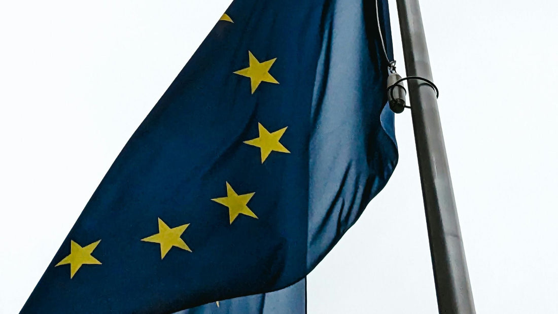 Quel est le rôle de la Cour de justice de l'Union européenne (CJUE) ?
