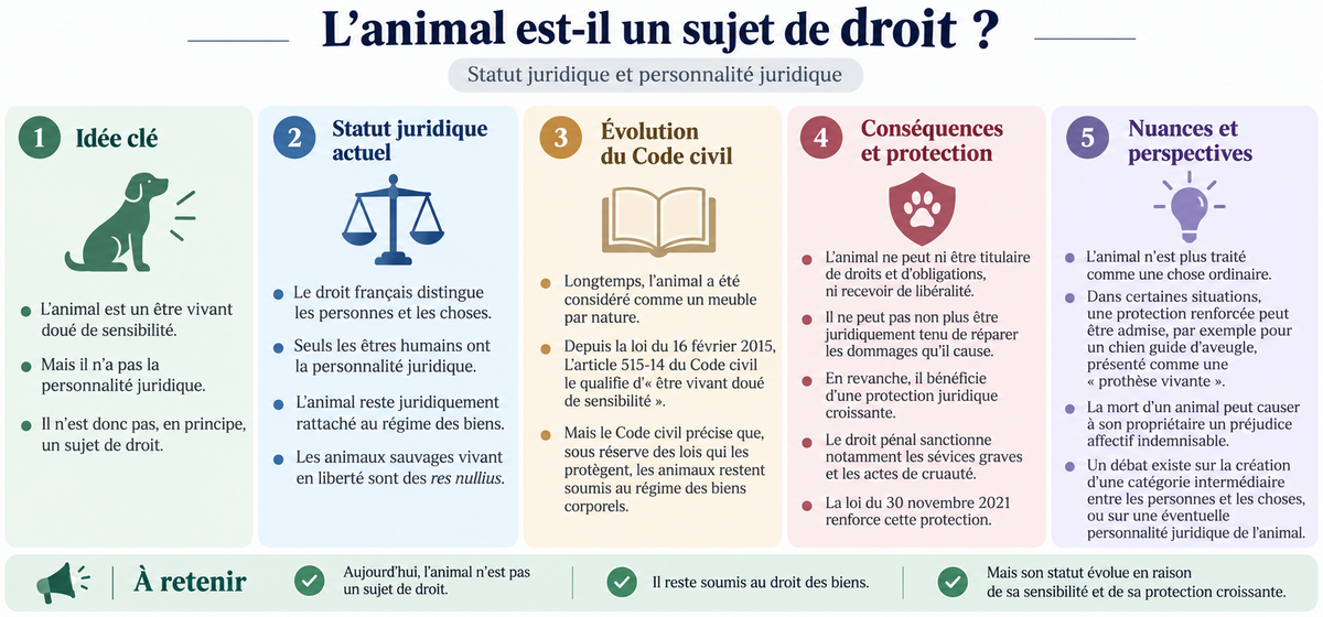 L’animal est-il un sujet de droit ? Statut juridique et personnalité juridique