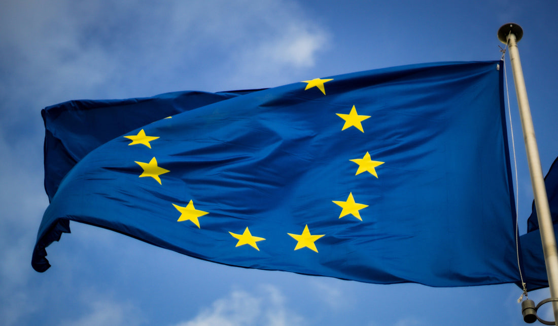 Quel est le rôle de la Cour européenne des droits de l'Homme (CEDH) ?