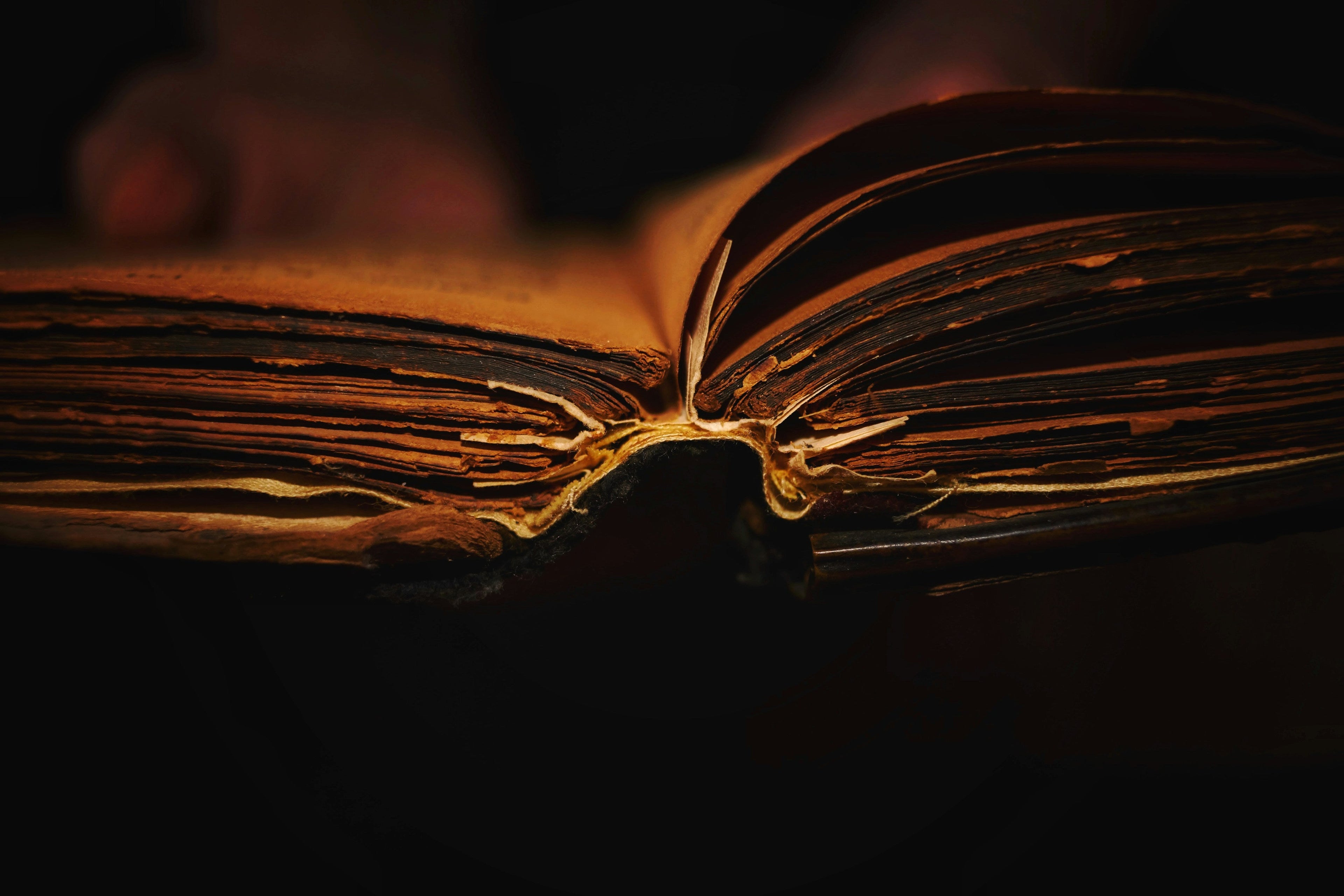Qu’est-ce qu’une Constitution ?